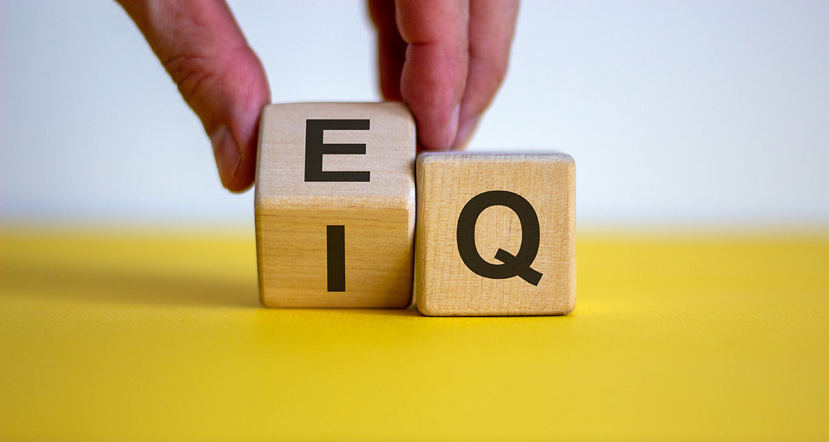 emotional quotient emotional intelligence wooden blocks